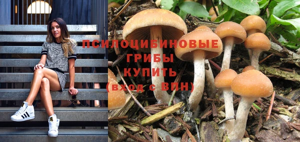 МДМА Протвино